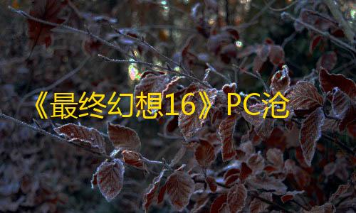 《最终幻想16》PC沧海恸哭有什么